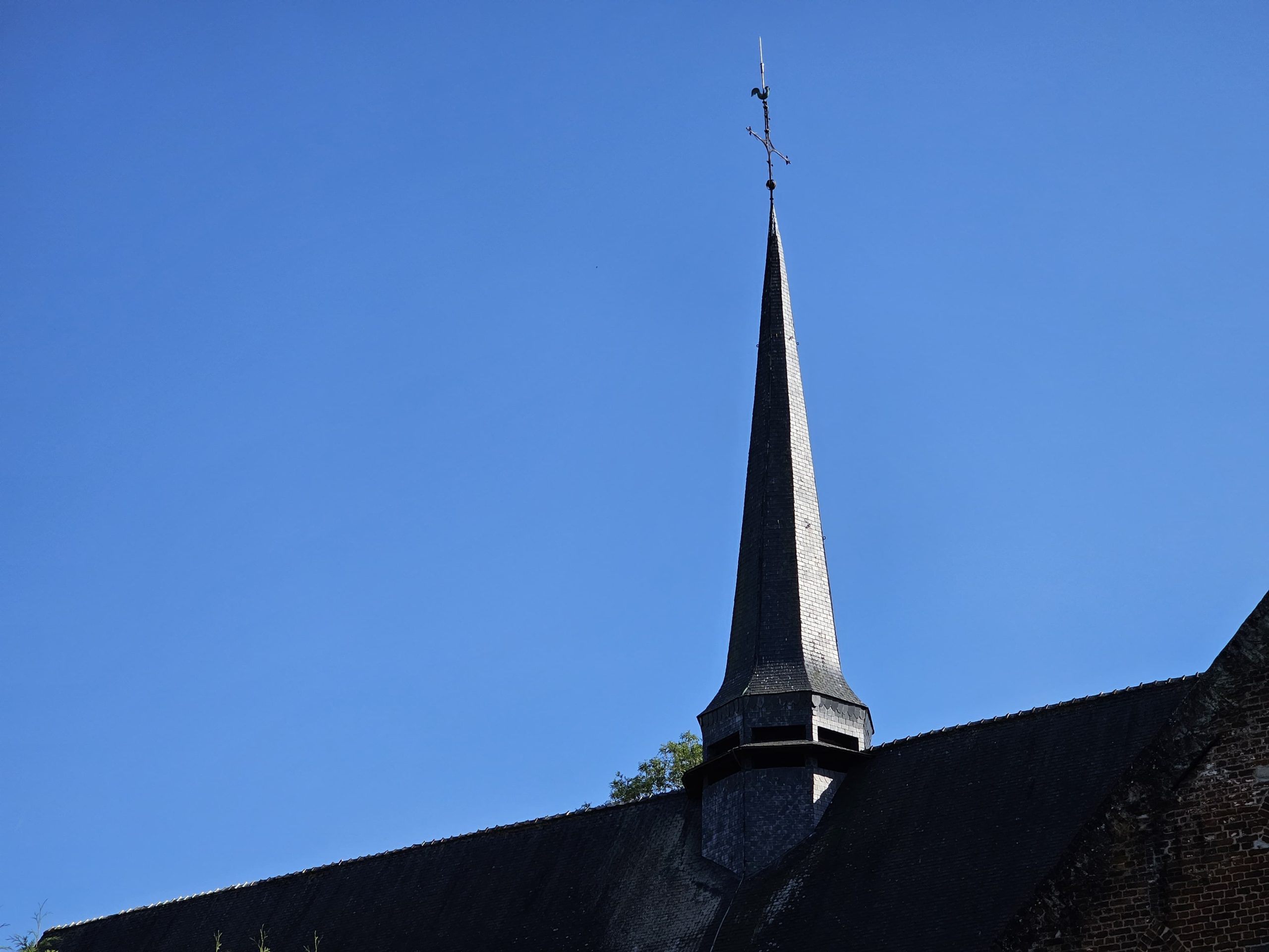 PHOTO 2025 08 10 11 52 38[1]